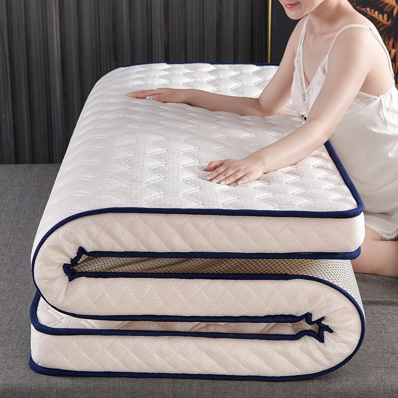 床垫软垫套铺底打地铺秋冬棉垫被床褥子冬季单人床垫子垫褥海绵