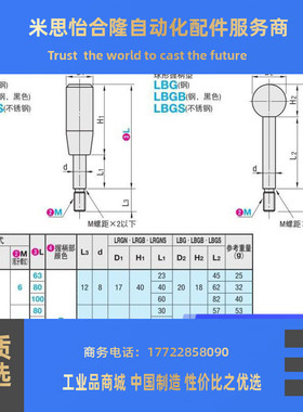不锈钢固定握柄把手LRGNS6/8/10/12-63/80/100/125/160/200-R/B