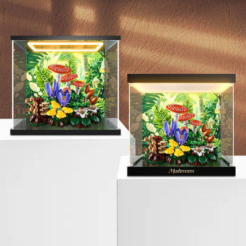 贝格宝适用乐高11505林间蘑菇积木拼装玩具摆件亚克力彩绘收纳盒