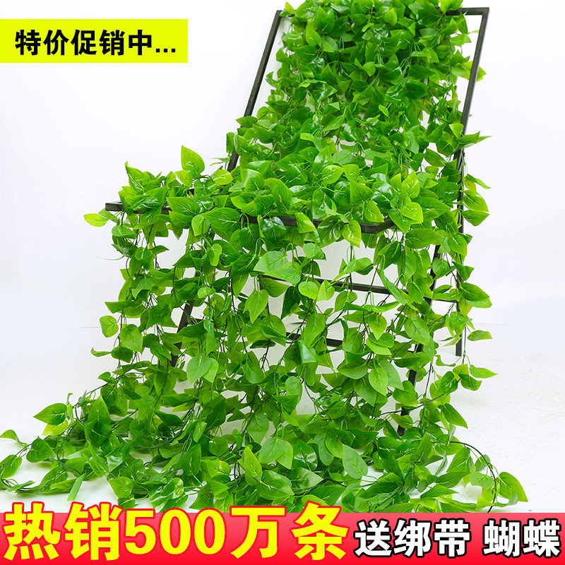 仿真绿萝叶藤条装饰假树