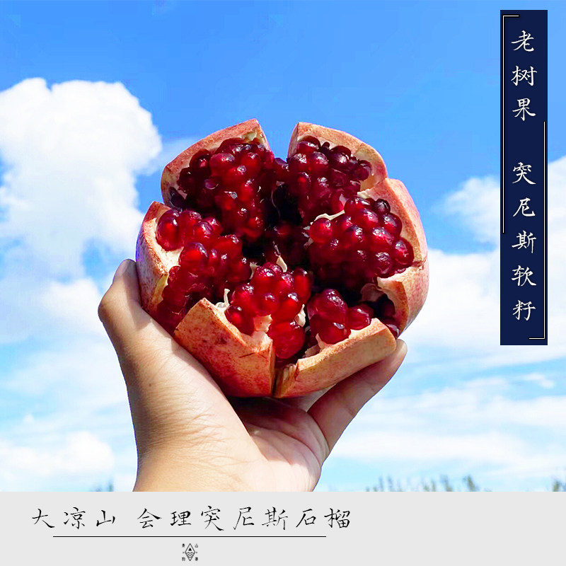 青山物集凉山会理突尼斯软籽石榴高山老树特极大果新鲜现摘当季水
