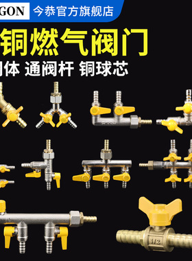 全铜燃气阀门分路三通阀一分四路分气阀液化气罐猛火灶煤气管软管