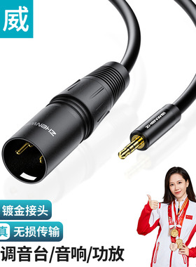 臻威（ZHENWEI）3.5转卡侬音频线 3.5mm转卡农公/母 调音台话筒线