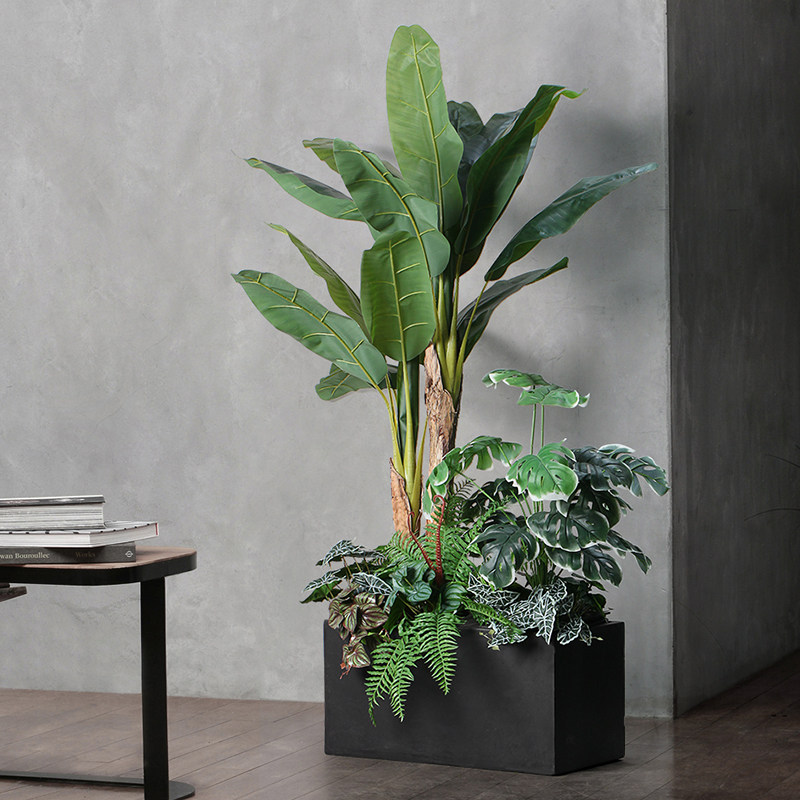 大型仿真落地植物隔断墙阔叶芭蕉树室内景观植物花箱造景装饰绿植