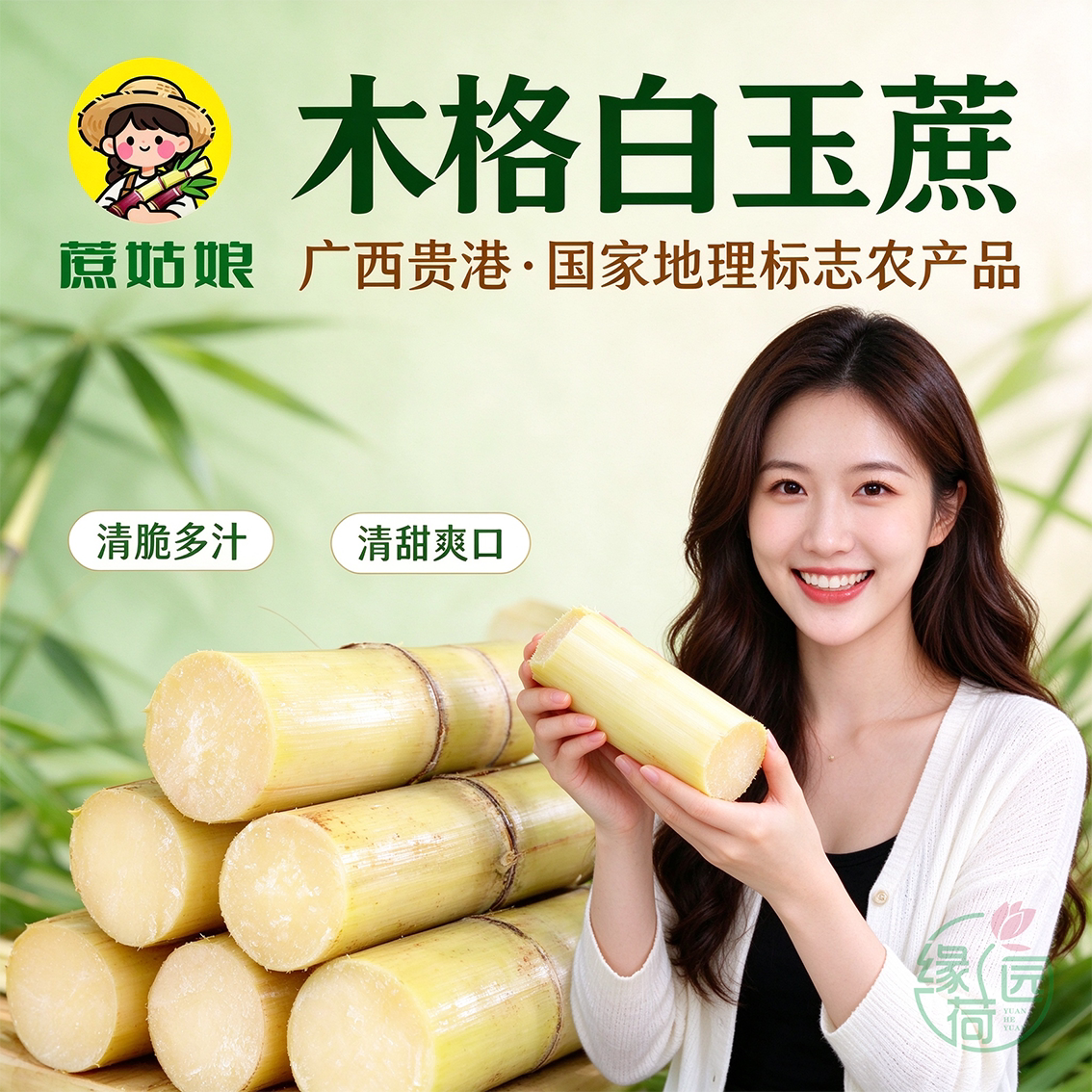 广西贵港特产蔗姑娘木格白玉甘蔗精品新鲜脆口清甜多汁顺丰包邮