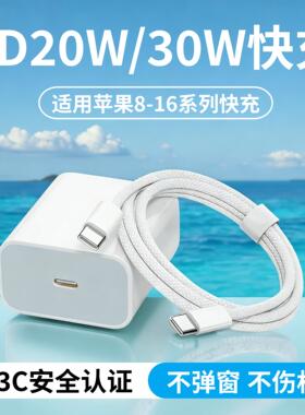 适用苹果iPhone12 mini手机冲电线apple数据线tpyec十二迷你版iPhone12白色5G版平果12单头加长1/2米快充专用