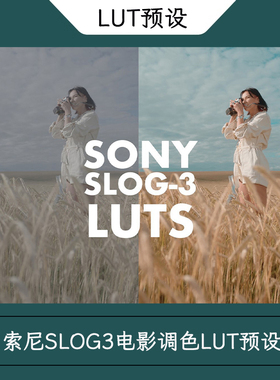 索尼SLOG3电影调色LUT预设Alexandru Don-SONY SLOG 3-SKINTONE