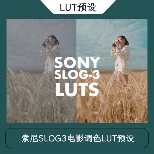 索尼SLOG3电影调色LUT预设Alexandru Don-SONY SLOG 3-SKINTONE
