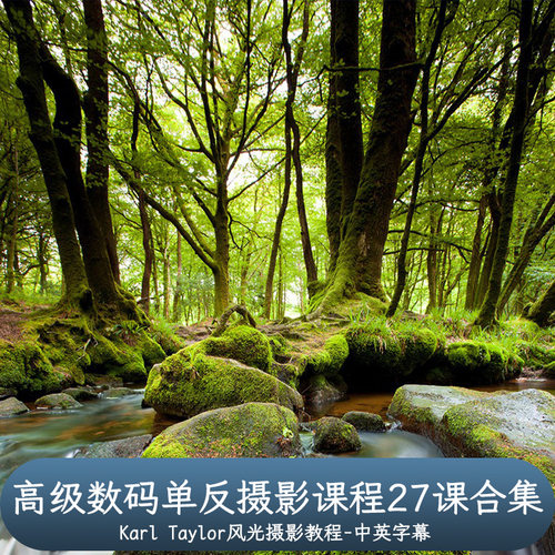 卡尔·泰勒Karl Taylor高级数码单反摄影课程27课合集-中文字幕
