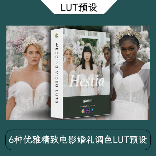 6种朴实优雅精致电影婚礼调色后期LUT预设 Gamut LUT - Hestia