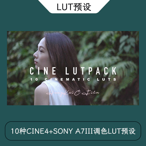 HungKai Chen -10种 CINE4+SONY A7III视频调色LUT预设