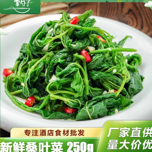 嫩桑叶芽250g半成品特色菜