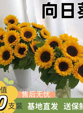 向日葵花束鲜花速递瓶插花云南直批同城速递泰迪油画节日婚礼花材