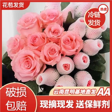 玫瑰花鲜花云南昆明基地直发百合花束向日葵客厅插花鲜花速递同城