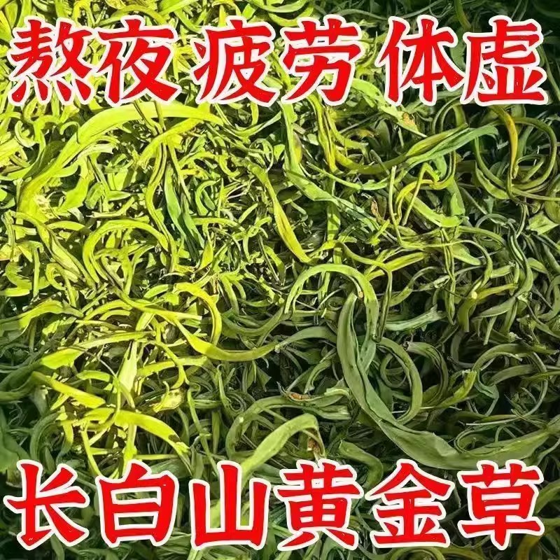 长白山野生肾精草化石草补黄金草