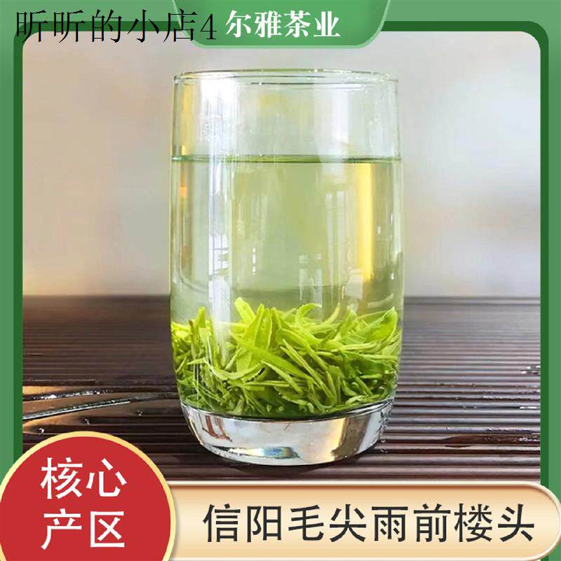 信阳毛尖茶叶浓香型绿茶500g2025新茶毛尖茶一芽一叶楼头高山绿茶