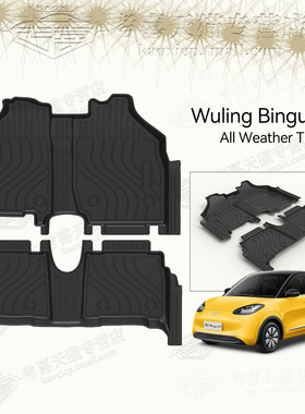 适配于WuLing Binguo右舵脚垫TPE包门槛缤果脚垫尾箱垫内饰改装