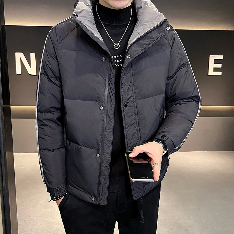 B255-6637-P185标50绒控258（月底到货）店主风简约羽绒服男,男装羽绒服,电商B255