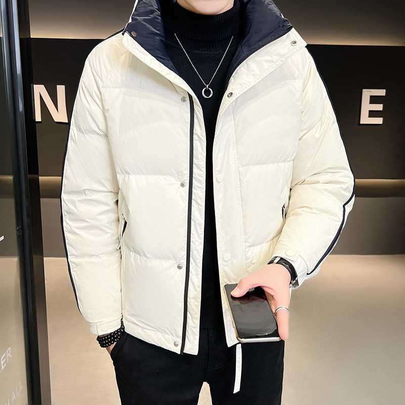 B255-6637-P185标50绒控258（月底到货）店主风简约羽绒服男,男装羽绒服,电商B255
