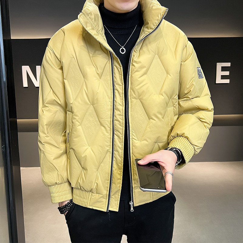 B255-F1813-P185店主风简约百搭商务高品质立领羽绒服外套男,男装羽绒服,电商B255