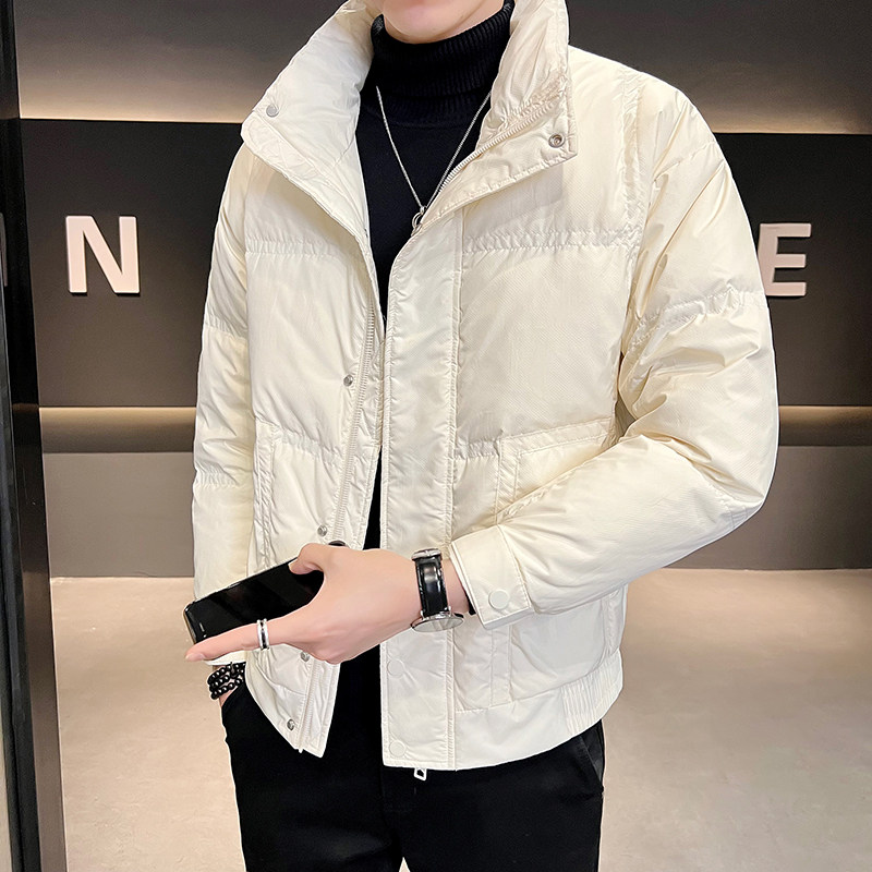 B255-001-P175-控24880白鸭绒店主风新款男士简约羽绒服男,男装羽绒服,电商B255