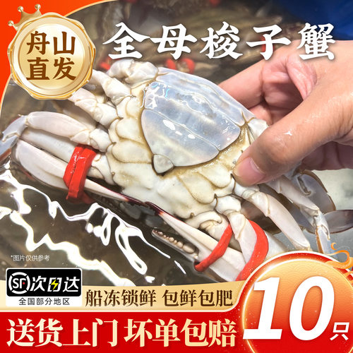 舟山母梭子蟹5-7两/只【4斤装】