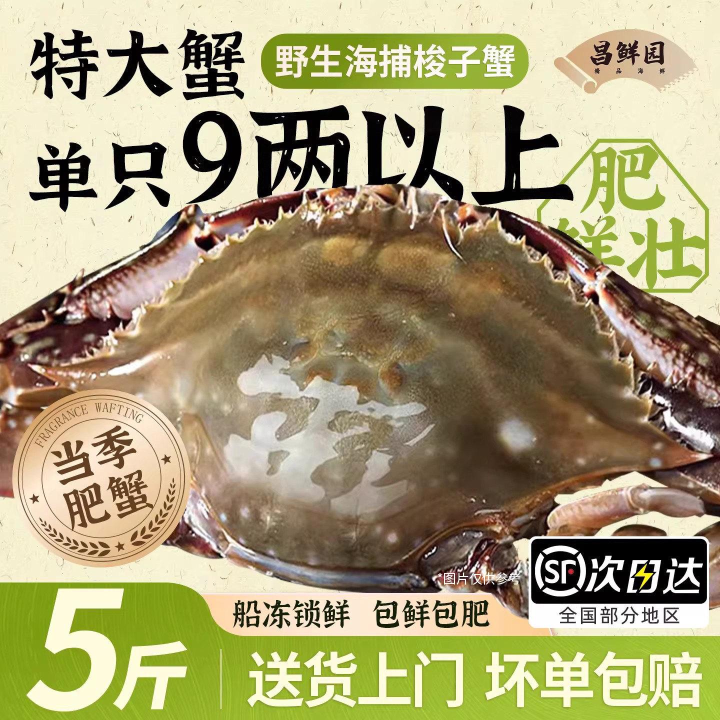 梭子蟹新鲜冷冻特大舟山野生螃蟹海鲜飞蟹9两+大白蟹5斤顺丰冻蟹