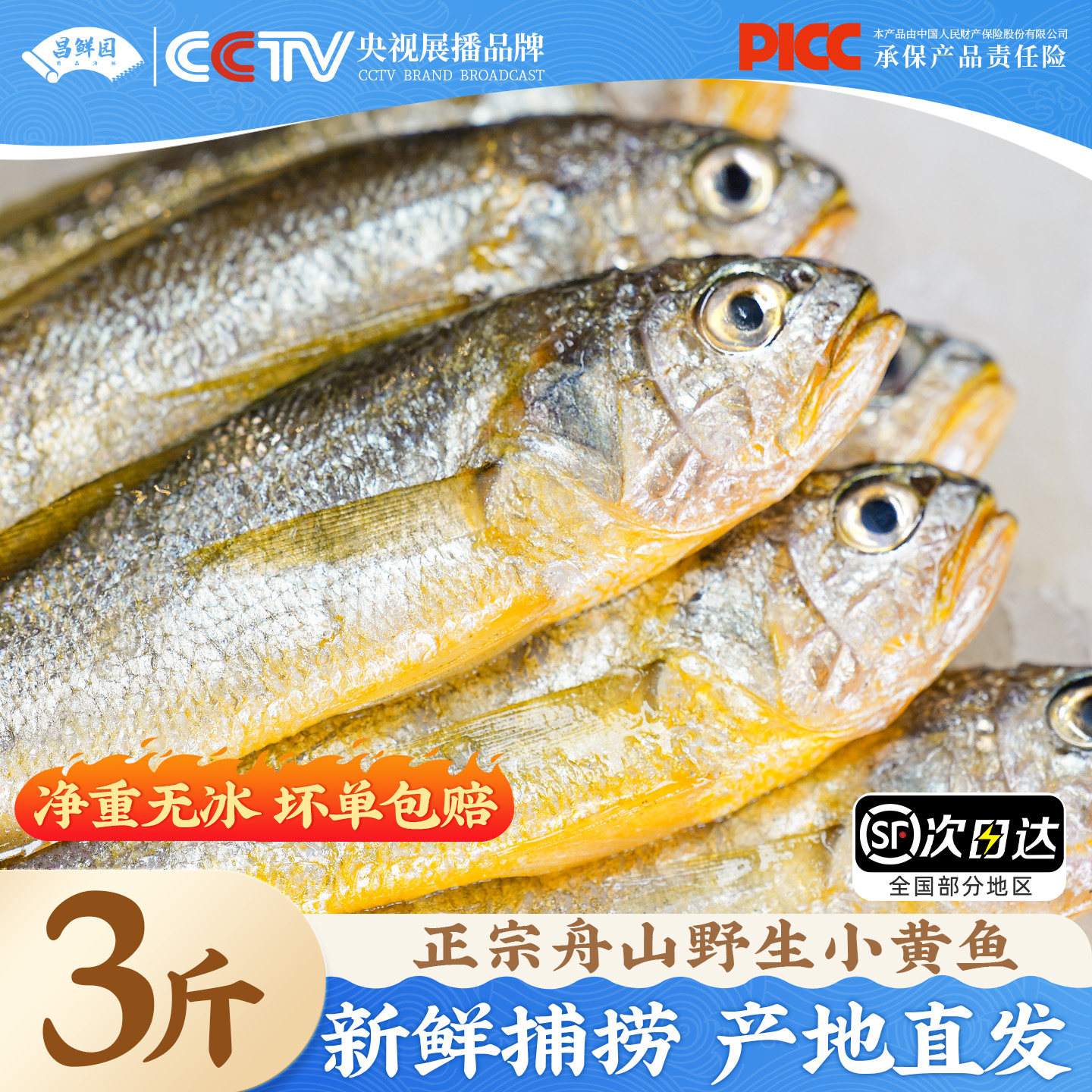 舟山野生小黄鱼新鲜冷冻深海海捕海鲜水产小黄花鱼生鲜商用烧烤