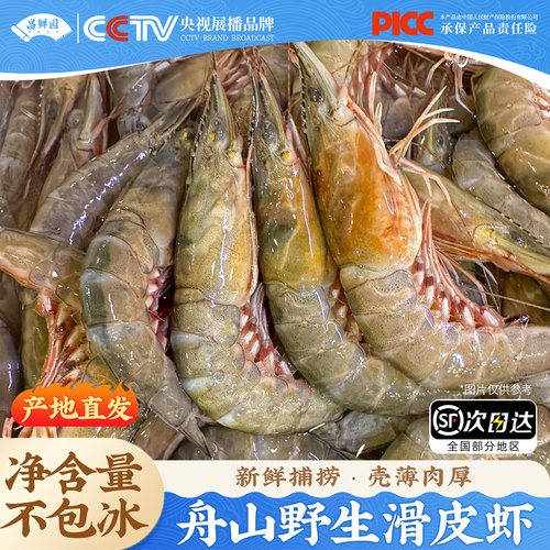 【舟山顺丰直发】滑皮虾2000g