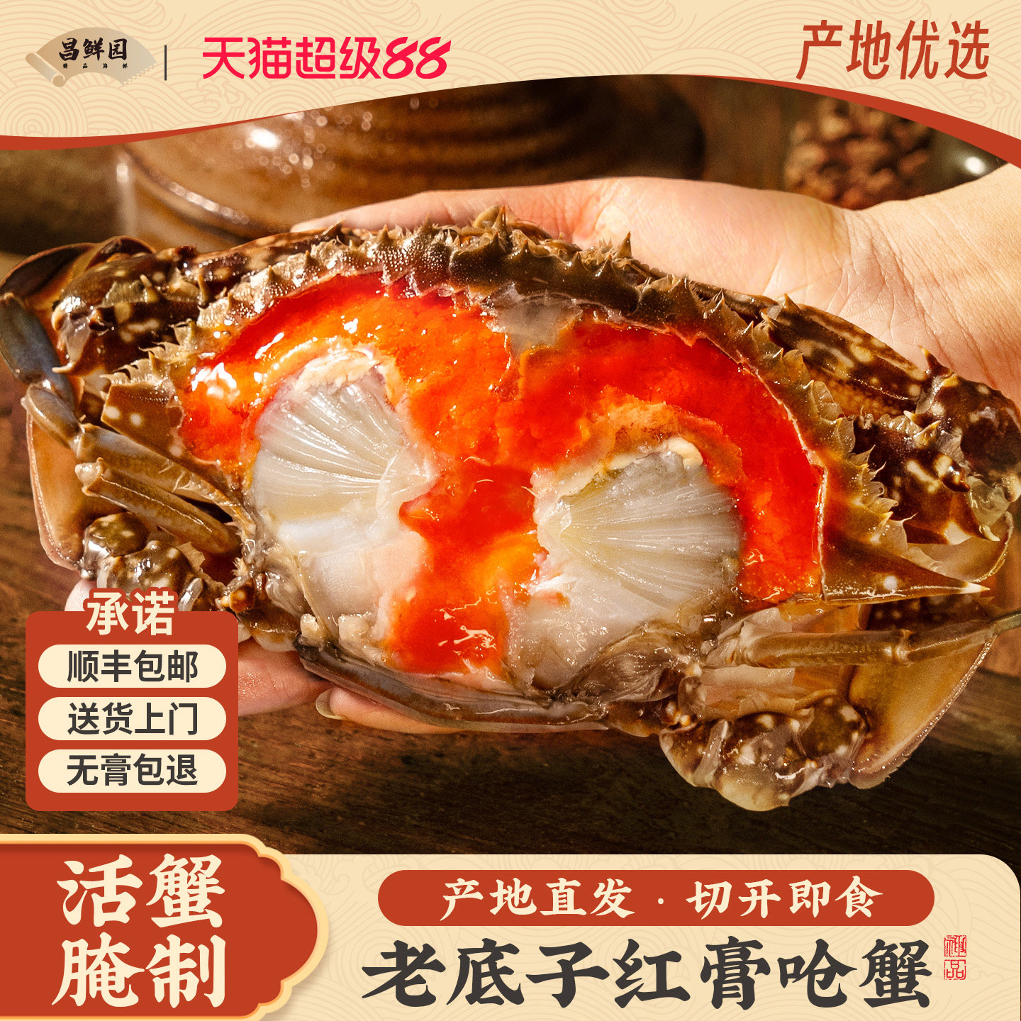 舟山特产红膏呛蟹8-10两活蟹腌制