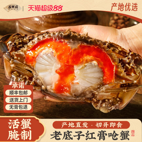 舟山特产红膏呛蟹8-10两活蟹腌制