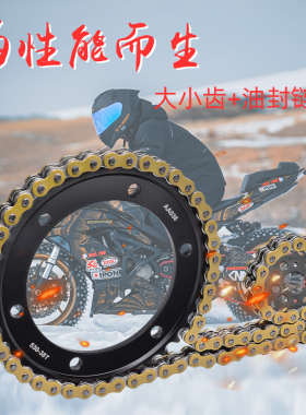 适用雅马哈FZS600 98-03 FZR/YFZ600 94-95前后牙盘链轮链条套链