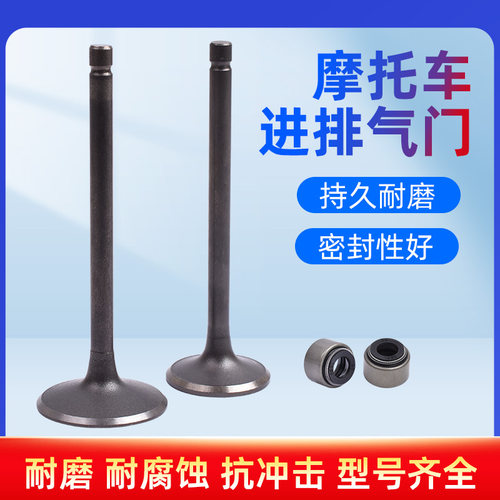 适用雅马哈XT225小鹿小羚羊225 TW225气门杆进气门排气门气门油封