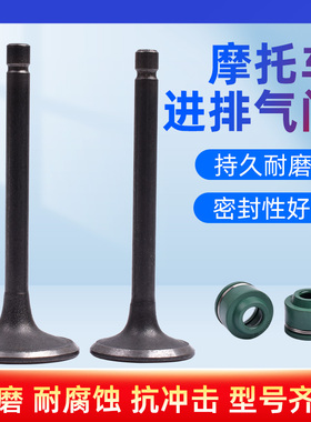 适用雅马哈天王太子250 XV250 XV125摩托车进气门排气门气门油封