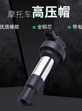 适用宝马C400X/GT K1600GT/GTL摩托车点火线圈高压包配件