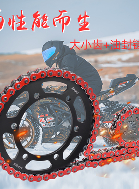 适用于川崎ZR550 ZR400 EX500 GPZ500链盘链轮大小齿链条套链配件