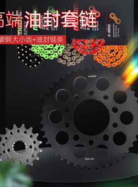 适配本田VT600沙都VLX400/600铁马VRX400流浪者链轮油封链条套链