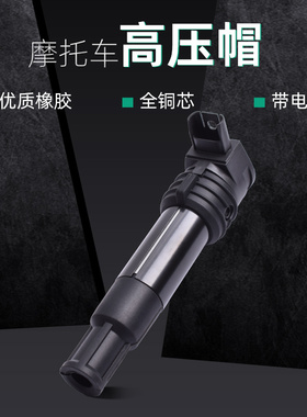 适用宝马R900 1100 1150 1200GS/R/RT点火线圈高压包高压帽配件