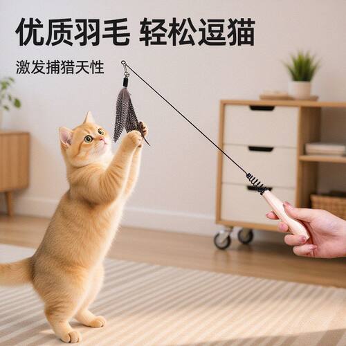 CFA赛级逗猫棒长杆猫猫玩具羽毛替换头幼猫猫咪自嗨耐抓解闷神器