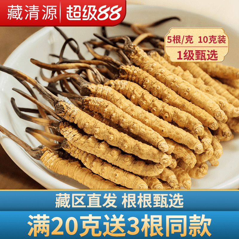 藏清源冬虫夏草正品10克礼盒装