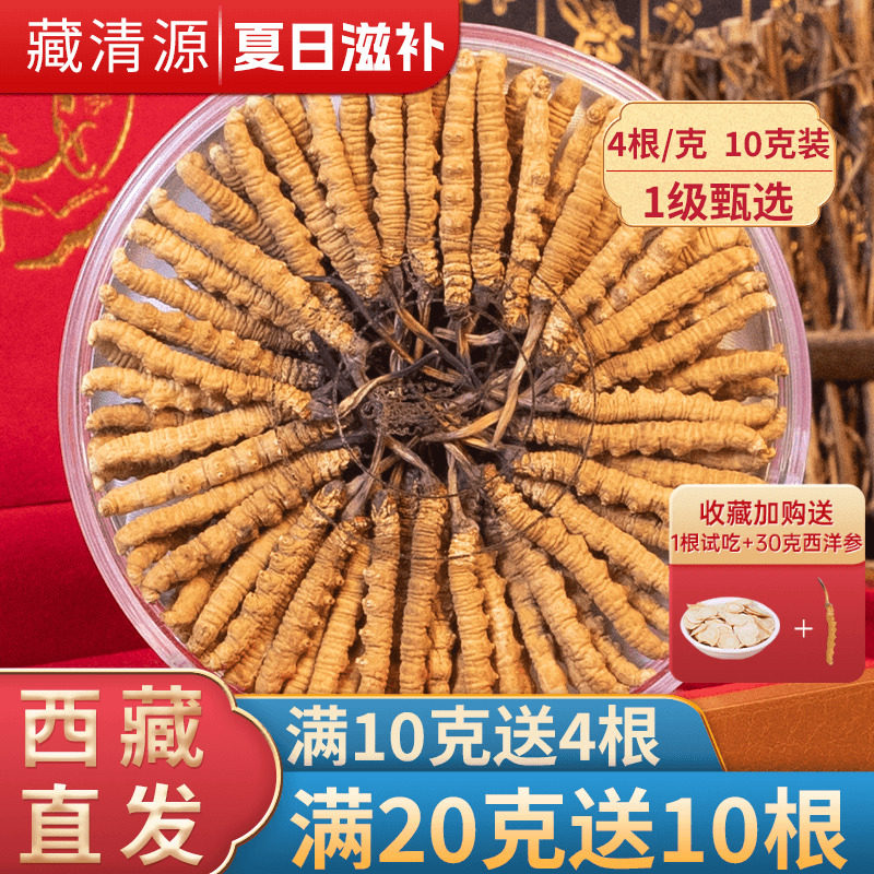新鲜冬虫夏草官方旗舰店正品虫草干货40根10克头期50克滋补礼盒装