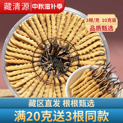 旗舰店虫草干货3根/克冬虫夏草