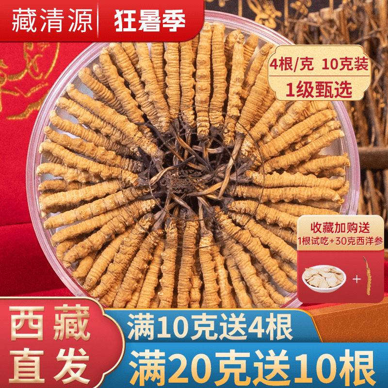 新鲜冬虫夏草官方旗舰店正品虫草干货40根10克头期50克滋补礼盒装