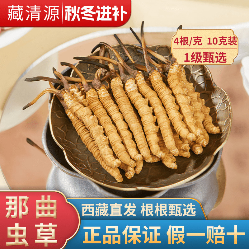 新鲜虫草，现挖现买