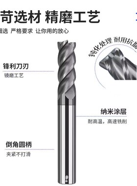 60度钨钢合金圆鼻刀牛鼻子CNC数控刀具立铣刀4RG0.5 1R0.2 3R1 8R