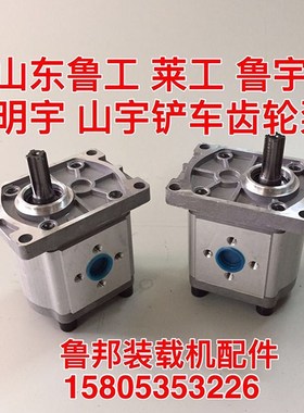 小型铲车小装载机CBTF E306 316 320 325行走泵 齿轮泵 液压油泵