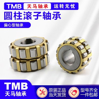 天马减速机偏心轴承RN205 206 307 308 309 312 222 219 328 M