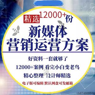 4A广告公司新媒体营销创意策划全案品牌PPT策划方案宣传运营模板