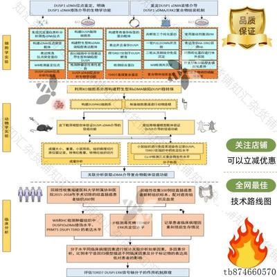 新技术路线图模版visio/word/PPT流程图方案图项目研究框架可编辑