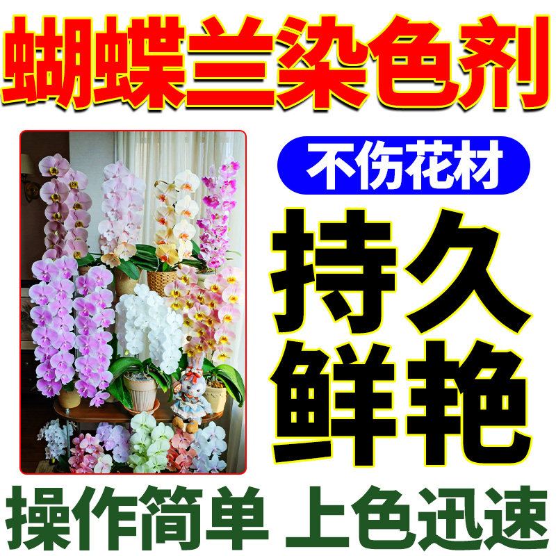 蝴蝶兰专用染色剂马卡龙色鲜花专用上色吸色染料花店花艺diy材料